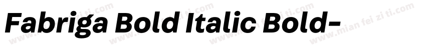 Fabriga Bold Italic Bold字体转换